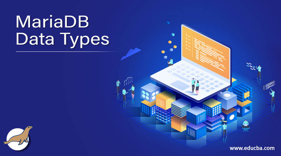 MariaDB Data Types