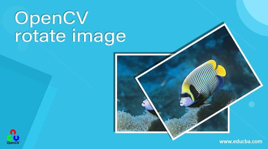 OpenCV-rotate-image