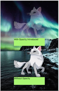 React native opacity output 5