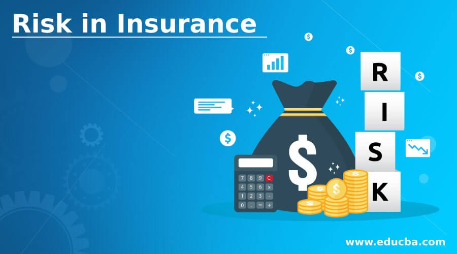 Risk in Insurance