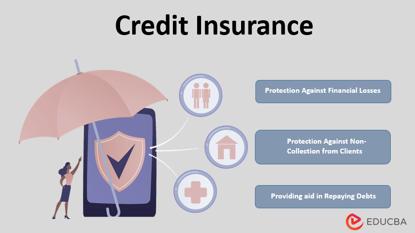 Credit Insurance