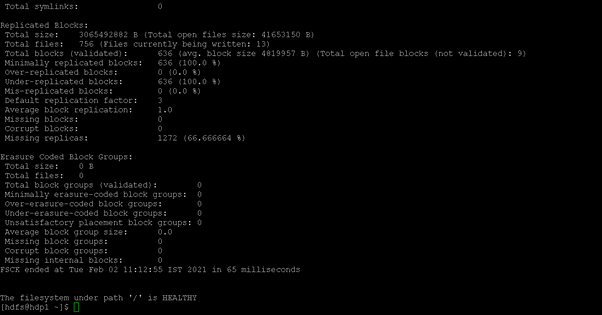 Hadoop fsck output 1