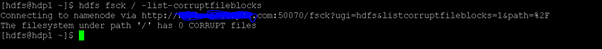 Hadoop fsck output 2