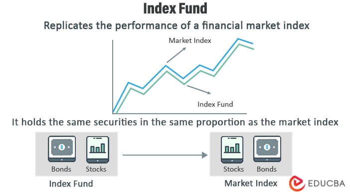 Index Fund