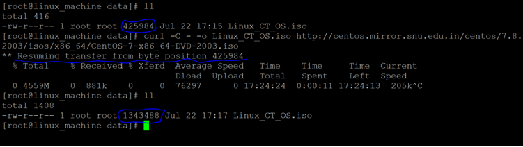 Linux Curl Command-1.3