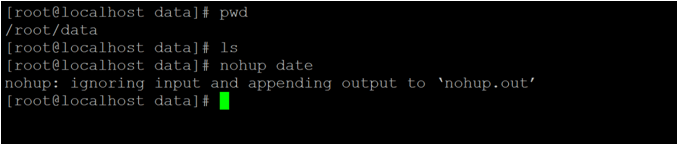 Linux Nohup-1.1