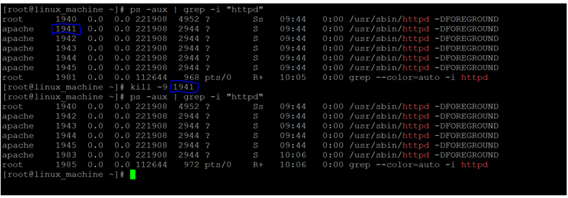 Linux Terminate Process-1.5