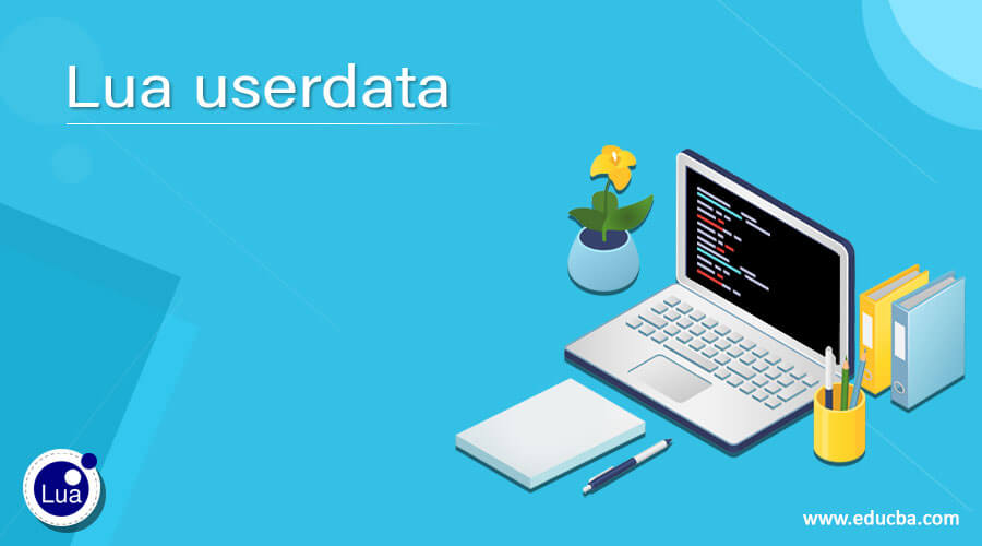 Lua userdata