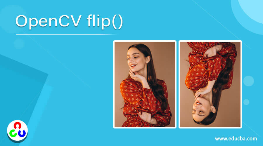 OpenCV flip()