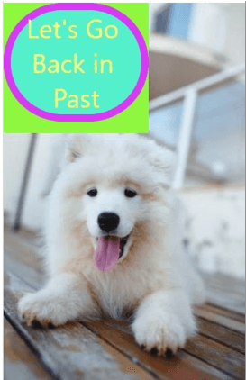 React Native Accessibility 1