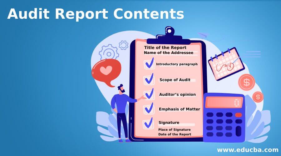 Audit Report Contents