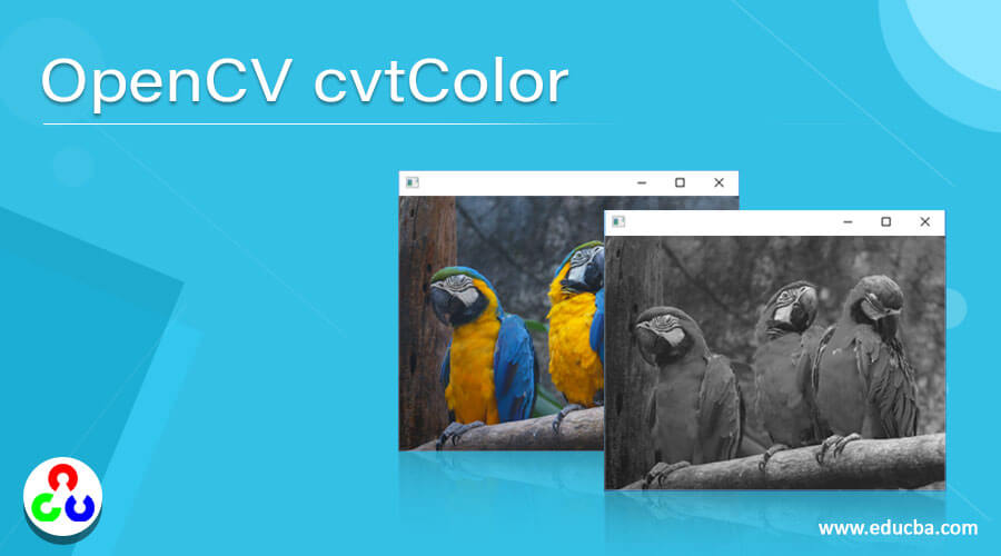 OpenCV cvtColor