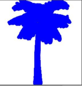 importing the module cv2