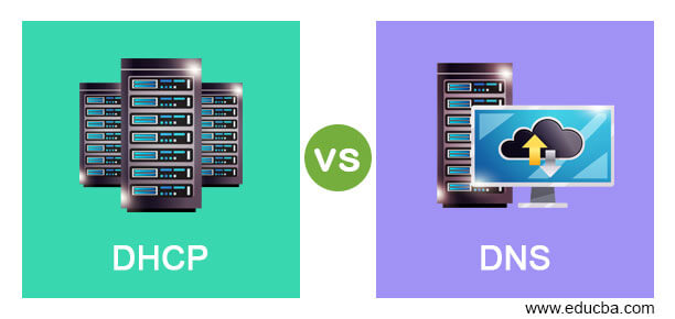 DHCP vs DNS