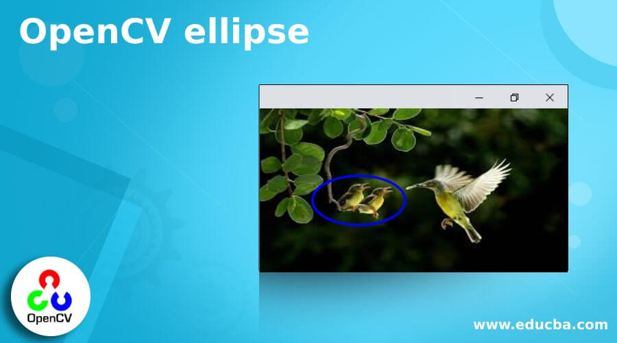 OpenCV ellipse