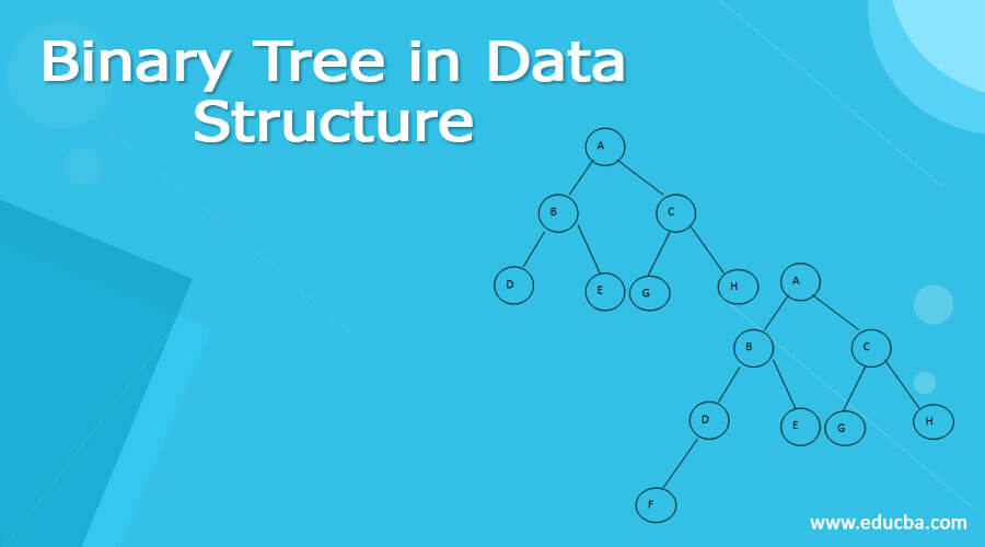 Binary Tree in Data Structure