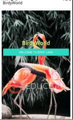 “TAKE ME TO BIRDY WORLD” button