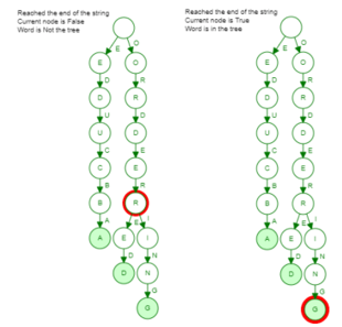 Trie Data Structure 3