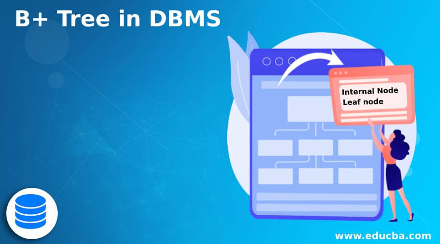B+ Tree in DBMS
