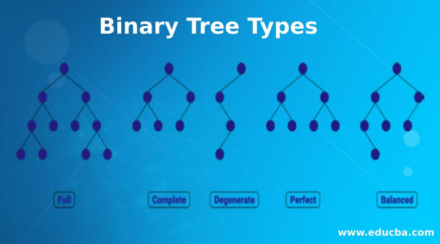 Binary Tree Types