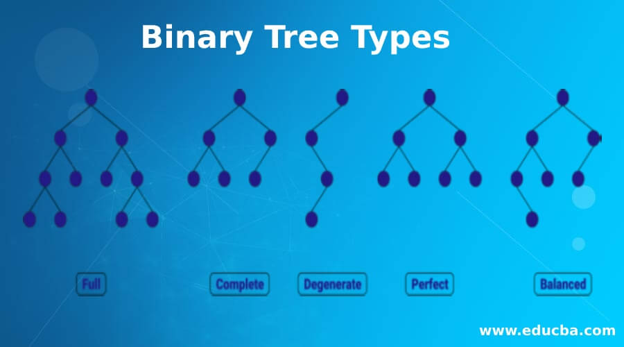 Binary Tree Types