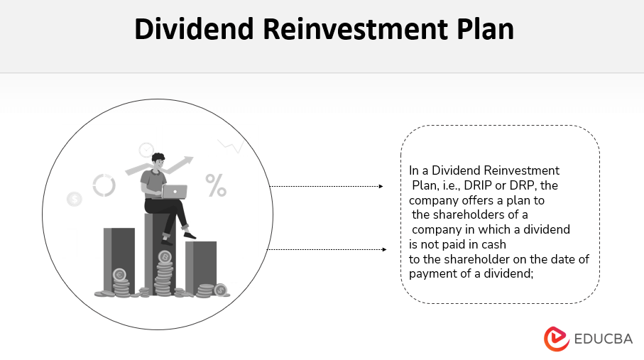 Dividend Reinvestment Plan