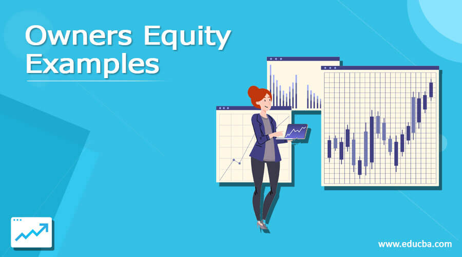 Owners Equity Examples
