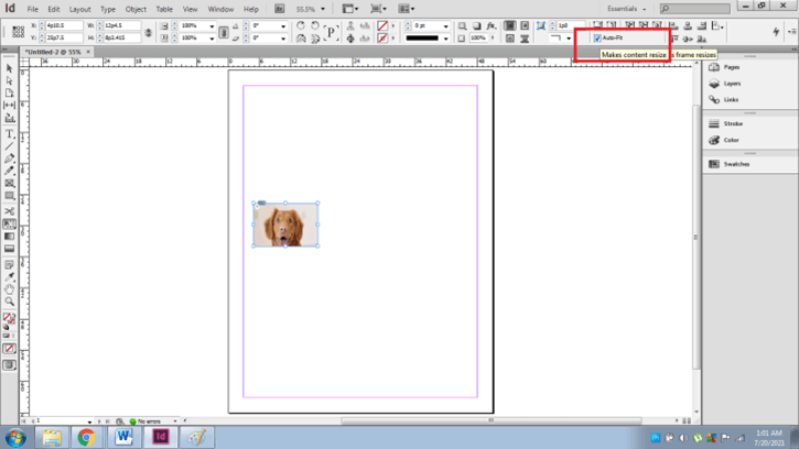 InDesign resize image output 18
