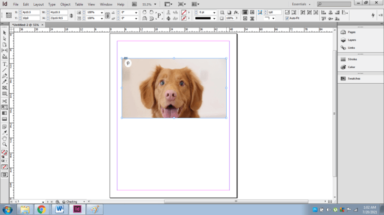InDesign resize image output 19