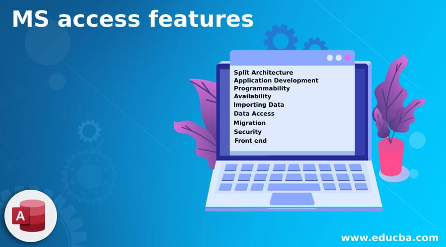 MS access features