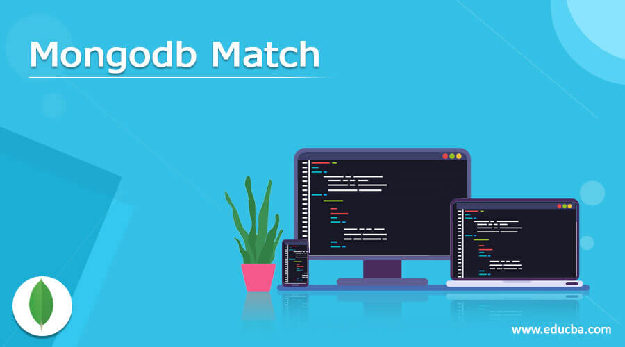 Mongodb Match