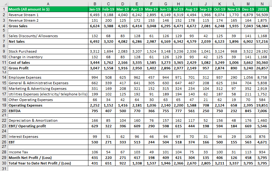 Monthly Profit and Loss Statement Template