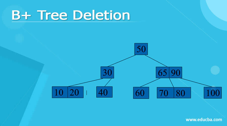 B+ Tree Deletion