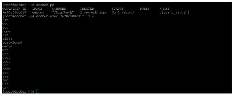 Exec into docker container 1