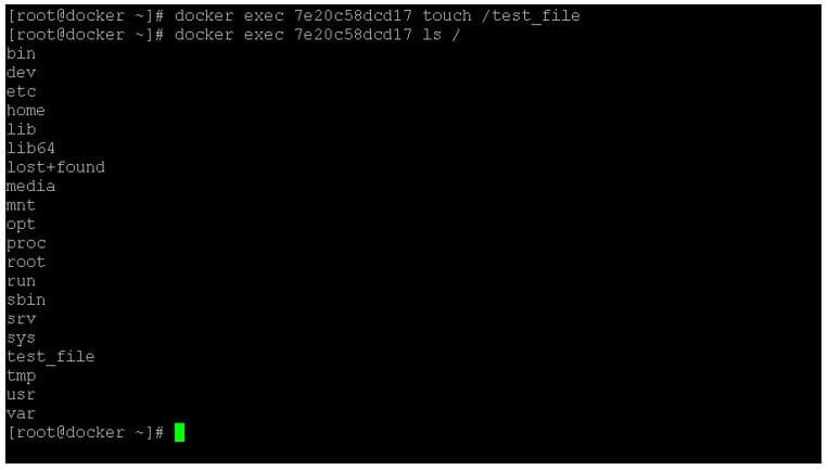 Exec into docker container 2