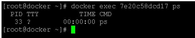 List the number of process on the running docker