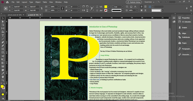 InDesign export to word output 5
