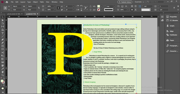 InDesign export to word output 6