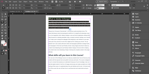 InDesign word count output 11