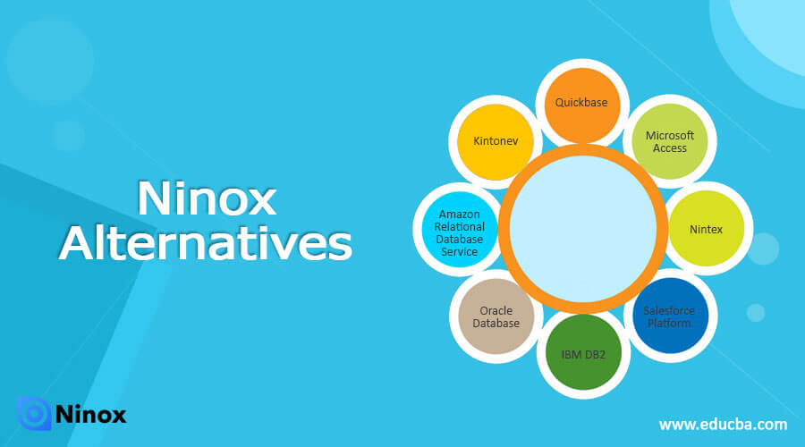 Ninox Alternatives