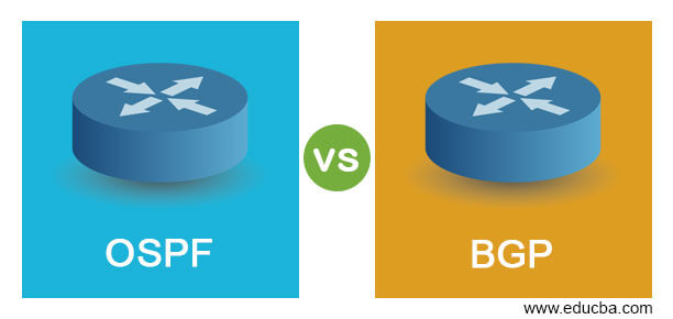 OSPF vs BGP