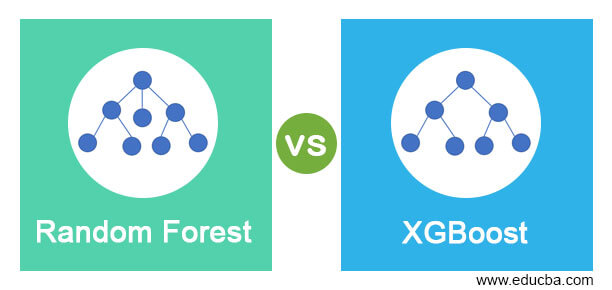 Random Forest vs XGBoost