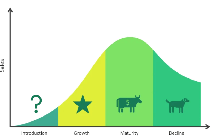 4 stages in BCG Matrix 