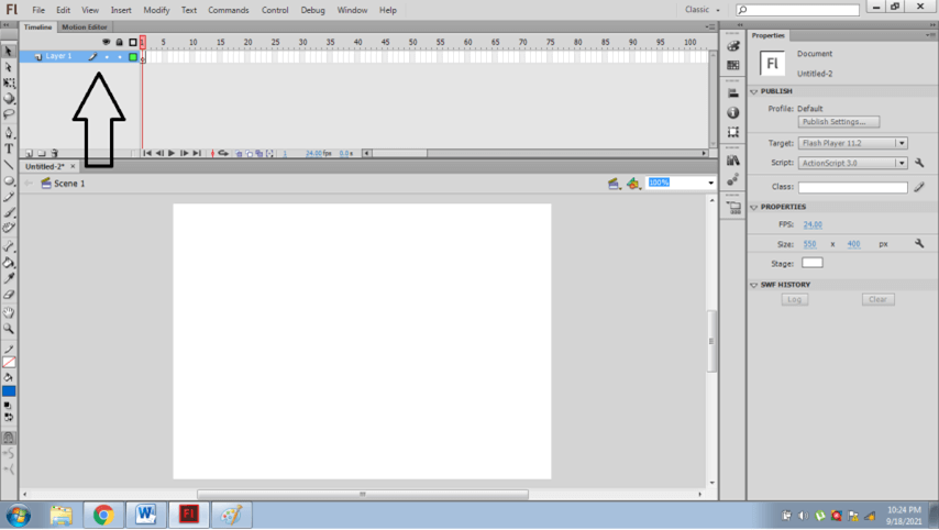 ADOBE FLASH CS6 output 5
