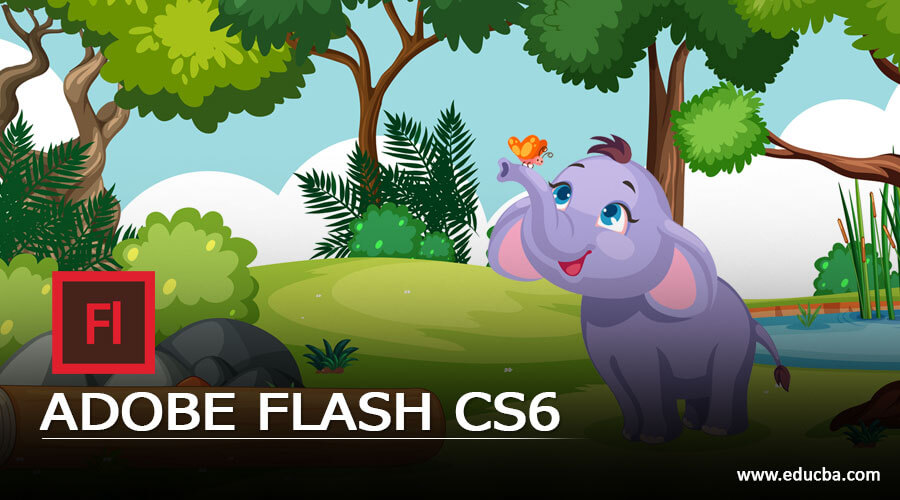 ADOBE FLASH CS6