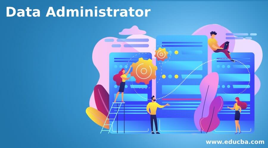 Data Administrator