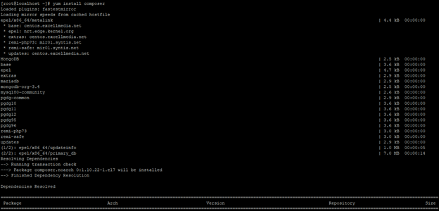 laravel nginx output 1
