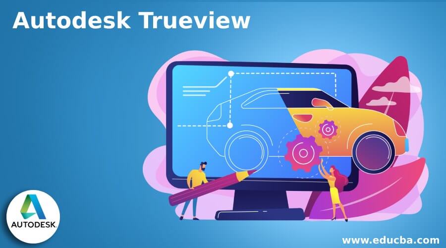 Autodesk Trueview