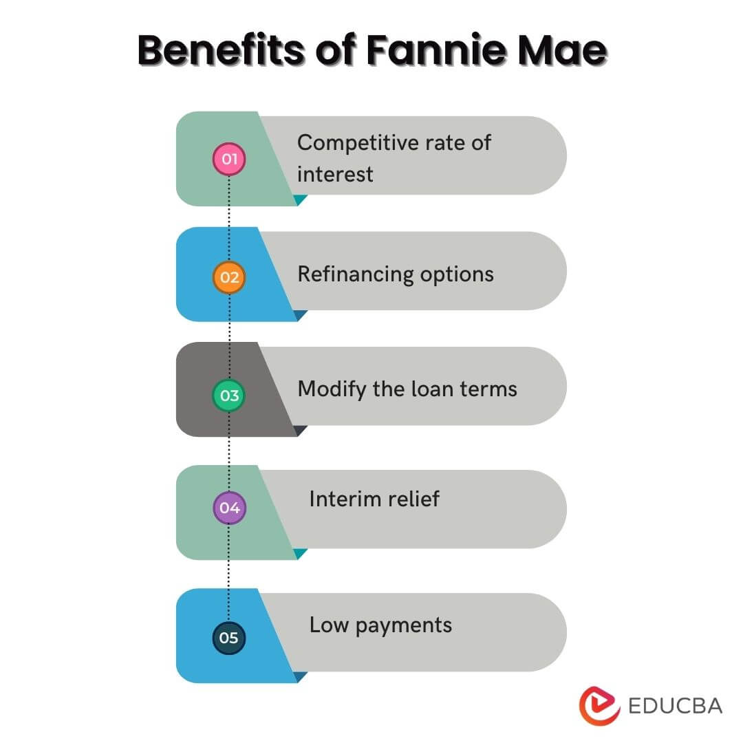 Benefits of Fannie Mae