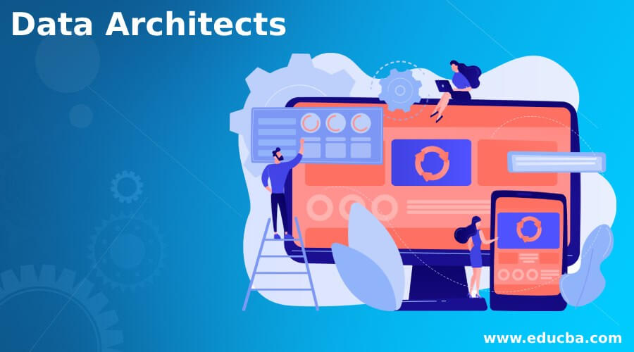 Data Architects